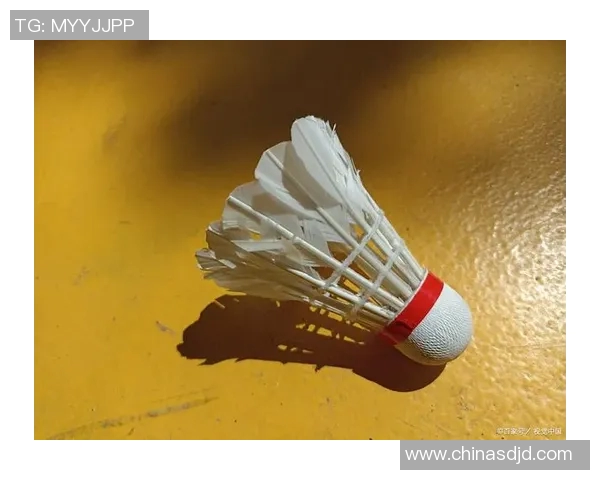 羽毛球战术解析：杭州羽毛球队如何巧妙运用边路渗透技巧